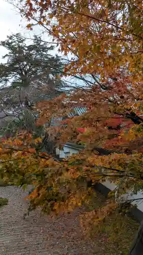 実相院門跡(京都府)