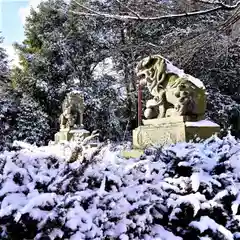 神炊館神社 ⁂奥州須賀川総鎮守⁂の狛犬