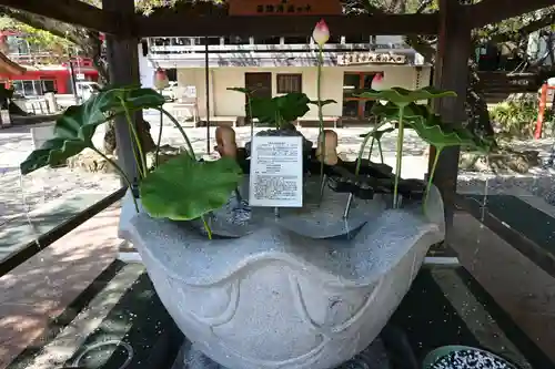 金剛宝寺（紀三井寺）(和歌山県)