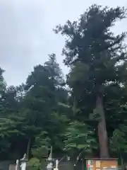 中氷川神社の建物その他