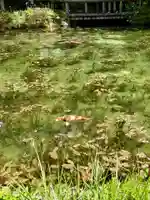 根道神社(岐阜県)