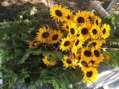 錦山天満宮の手水舎