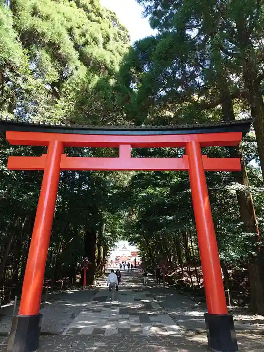 霧島神宮の鳥居