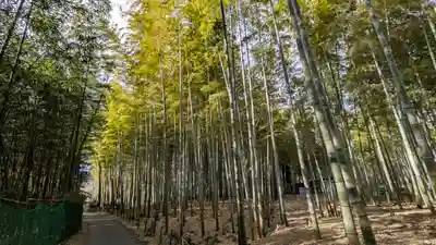 光明寺(粟生光明寺)(京都府)