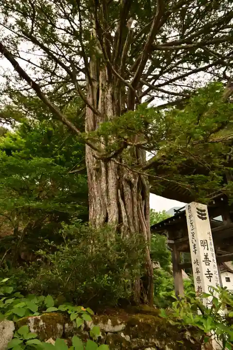 松原山 明善寺(岐阜県)