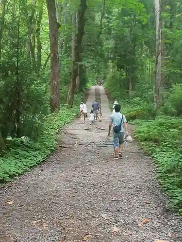 戸隠神社奥社の周辺