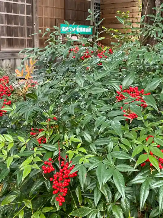 国上寺(新潟県)