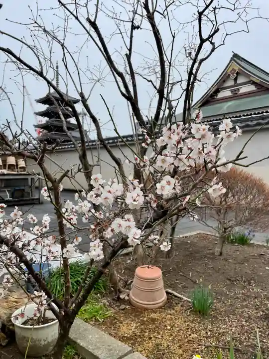 蓮香院(宮城県)
