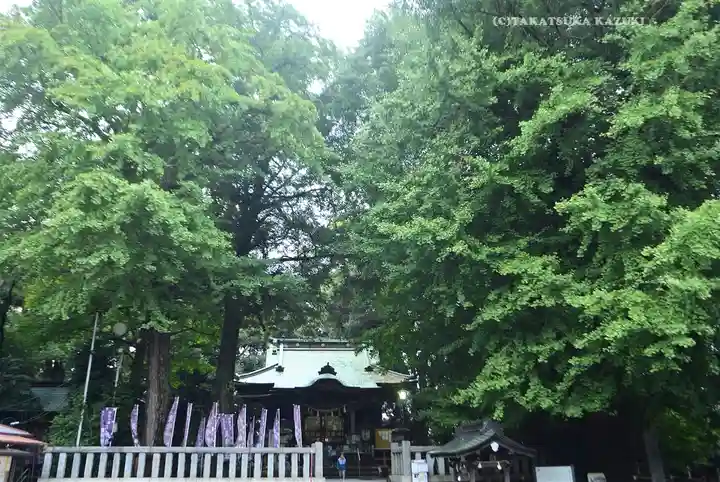 鶴嶺八幡宮(神奈川県)