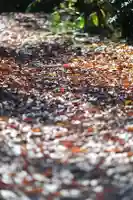 浄土寺(兵庫県)