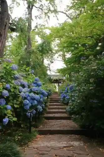 資福禅寺の建物その他