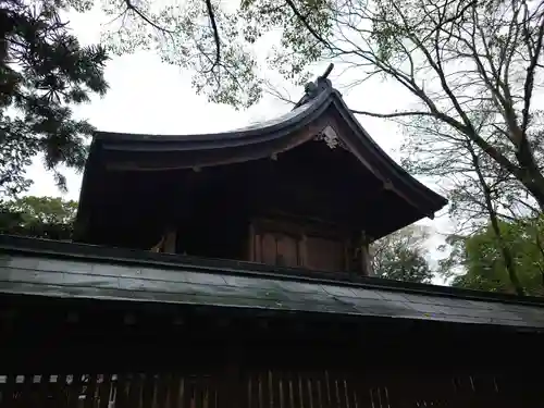 大井神社の本殿