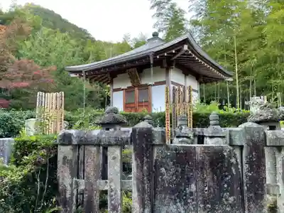 常寂光寺(京都府)