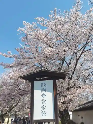 醍醐寺の{uncategorized: "未分類", other: "その他", undefined: "問題あり", building: "その他建物", grave: "お墓", sacred_gate: "鳥居", guardian: "狛犬", statue: "像", buddha: "仏像", history: "歴史", nature: "自然", garden: "庭園", animal: "動物", pagoda: "塔", temizu: "手水舎", mountain_gate: "山門・神門", sanctuary: "本殿・本堂", subordinate: "末社・摂社", art: "芸術", scenery: "景色", jizo: "地蔵", ema: "絵馬", goshuin: "御朱印", omikuji: "おみくじ", items: "授与品その他", amulet: "お守り", goshuincho: "御朱印帳", eats: "食事", festival: "お祭り", votive_dance: "神楽", shichigosan: "七五三参", wedding: "結婚式", experience: "体験その他", initially: "初詣", around: "周辺", anti_infection: "感染症対策"}