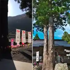 高司神社〜むすびの神の鎮まる社〜の景色