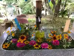 坂本八幡神社の手水