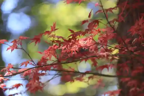 滑川神社 - 仕事と子どもの守り神の庭園