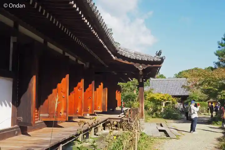 浄瑠璃寺(京都府)