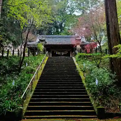 雨櫻神社(静岡県)