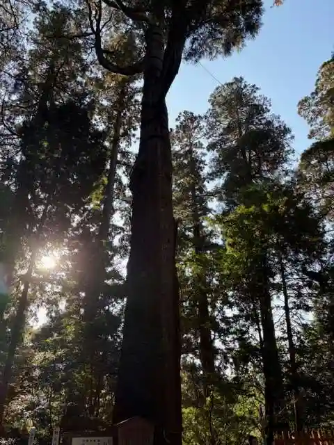高千穂神社(宮崎県)