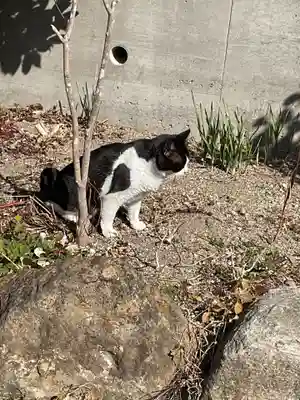 井際山 如意輪寺(愛知県)
