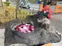 伊達神社の手水舎