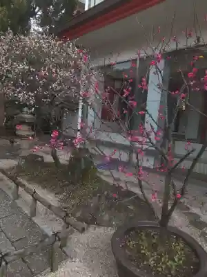 千葉天神の{uncategorized: "未分類", other: "その他", undefined: "問題あり", building: "その他建物", grave: "お墓", sacred_gate: "鳥居", guardian: "狛犬", statue: "像", buddha: "仏像", history: "歴史", nature: "自然", garden: "庭園", animal: "動物", pagoda: "塔", temizu: "手水舎", mountain_gate: "山門・神門", sanctuary: "本殿・本堂", subordinate: "末社・摂社", art: "芸術", scenery: "景色", jizo: "地蔵", ema: "絵馬", goshuin: "御朱印", omikuji: "おみくじ", items: "授与品その他", amulet: "お守り", goshuincho: "御朱印帳", eats: "食事", festival: "お祭り", votive_dance: "神楽", shichigosan: "七五三参", wedding: "結婚式", experience: "体験その他", initially: "初詣", around: "周辺", anti_infection: "感染症対策"}