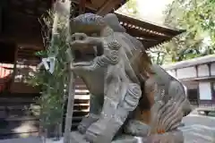 大國魂神社の狛犬