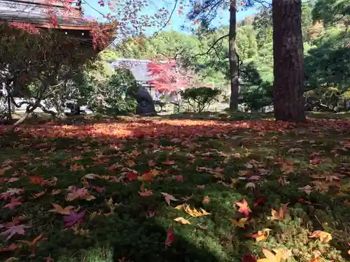 慈照寺（慈照禅寺・銀閣寺）のその他建物