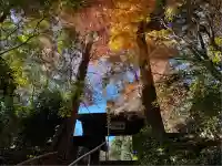 住吉神社(東京都)