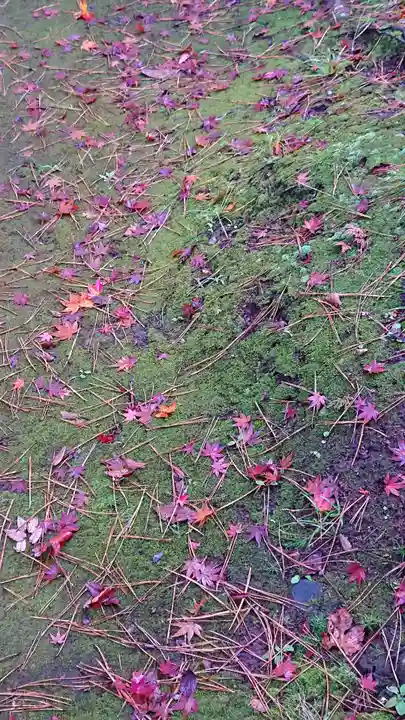 岩殿山安楽寺(吉見観音)の自然