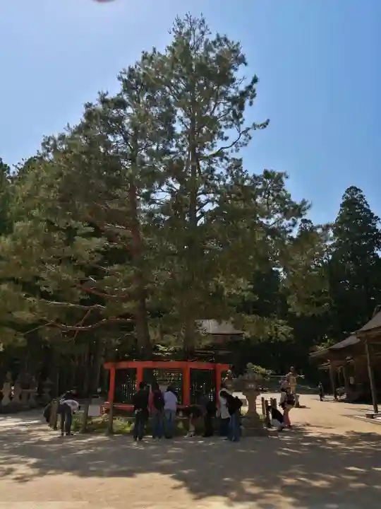 壇上伽藍の自然