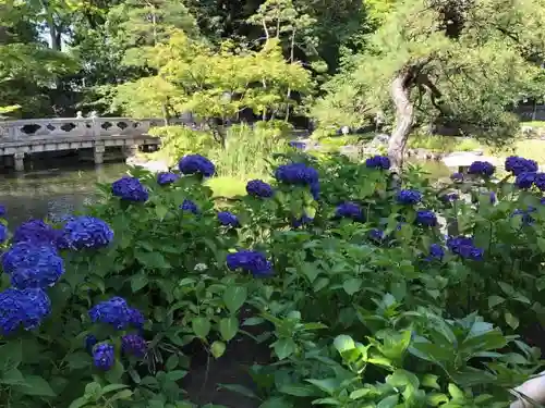 西新井大師総持寺の自然