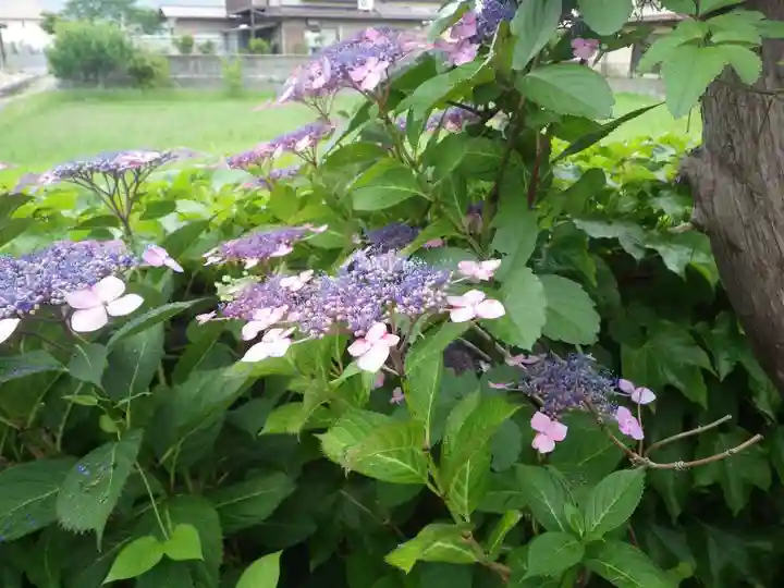 護国寺(山口県)