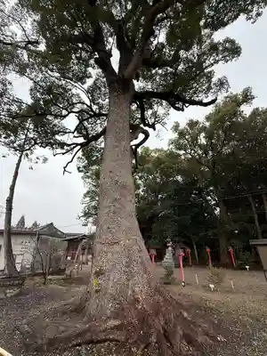都波岐奈加等神社(三重県)