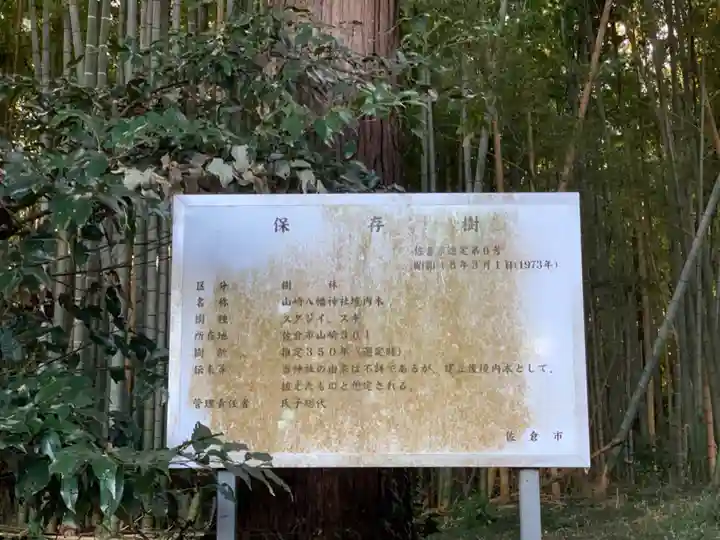 八幡神社(千葉県)