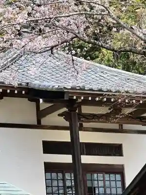 鶏足寺の{uncategorized: "未分類", other: "その他", undefined: "問題あり", building: "その他建物", grave: "お墓", sacred_gate: "鳥居", guardian: "狛犬", statue: "像", buddha: "仏像", history: "歴史", nature: "自然", garden: "庭園", animal: "動物", pagoda: "塔", temizu: "手水舎", mountain_gate: "山門・神門", sanctuary: "本殿・本堂", subordinate: "末社・摂社", art: "芸術", scenery: "景色", jizo: "地蔵", ema: "絵馬", goshuin: "御朱印", omikuji: "おみくじ", items: "授与品その他", amulet: "お守り", goshuincho: "御朱印帳", eats: "食事", festival: "お祭り", votive_dance: "神楽", shichigosan: "七五三参", wedding: "結婚式", experience: "体験その他", initially: "初詣", around: "周辺", anti_infection: "感染症対策"}