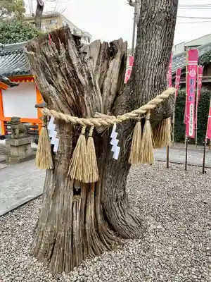 種貸社（住吉大社末社）(大阪府)