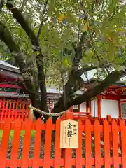 金櫻神社(山梨県)