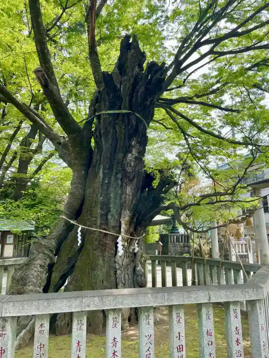 高城神社の{uncategorized: "未分類", other: "その他", undefined: "問題あり", building: "その他建物", grave: "お墓", sacred_gate: "鳥居", guardian: "狛犬", statue: "像", buddha: "仏像", history: "歴史", nature: "自然", garden: "庭園", animal: "動物", pagoda: "塔", temizu: "手水舎", mountain_gate: "山門・神門", sanctuary: "本殿・本堂", subordinate: "末社・摂社", art: "芸術", scenery: "景色", jizo: "地蔵", ema: "絵馬", goshuin: "御朱印", omikuji: "おみくじ", items: "授与品その他", amulet: "お守り", goshuincho: "御朱印帳", eats: "食事", festival: "お祭り", votive_dance: "神楽", shichigosan: "七五三参", wedding: "結婚式", experience: "体験その他", initially: "初詣", around: "周辺", anti_infection: "感染症対策"}