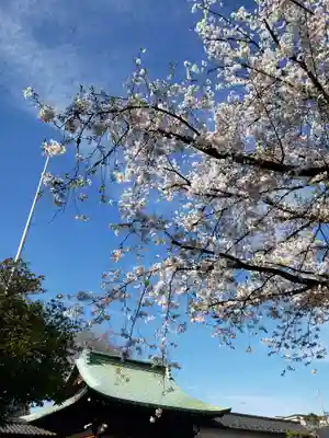 本郷氷川神社(東京都)