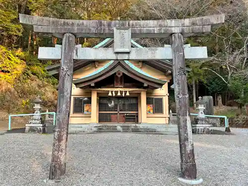 今山八幡宮の鳥居