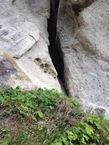 宝珠山 立石寺の自然