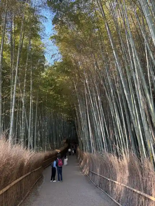 野宮神社の御朱印