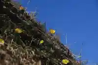 三春大神宮の自然