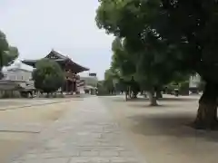 四天王寺の建物その他