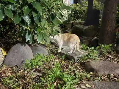 新橋鹽竃神社の{uncategorized: "未分類", other: "その他", undefined: "問題あり", building: "その他建物", grave: "お墓", sacred_gate: "鳥居", guardian: "狛犬", statue: "像", buddha: "仏像", history: "歴史", nature: "自然", garden: "庭園", animal: "動物", pagoda: "塔", temizu: "手水舎", mountain_gate: "山門・神門", sanctuary: "本殿・本堂", subordinate: "末社・摂社", art: "芸術", scenery: "景色", jizo: "地蔵", ema: "絵馬", goshuin: "御朱印", omikuji: "おみくじ", items: "授与品その他", amulet: "お守り", goshuincho: "御朱印帳", eats: "食事", festival: "お祭り", votive_dance: "神楽", shichigosan: "七五三参", wedding: "結婚式", experience: "体験その他", initially: "初詣", around: "周辺", anti_infection: "感染症対策"}