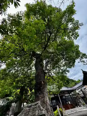 見河山 妙雲寺(京都府)
