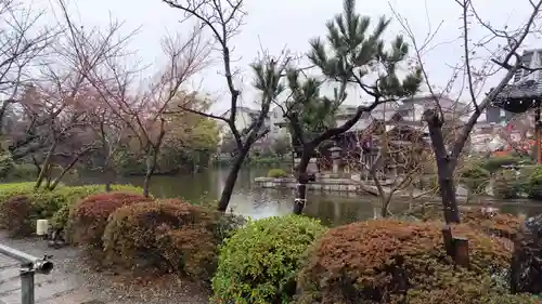 神泉苑(京都府)