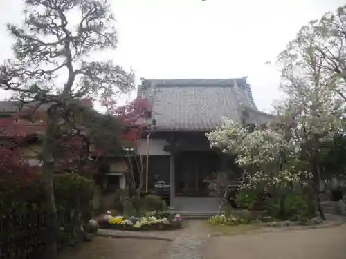 教恩寺の本殿・本堂